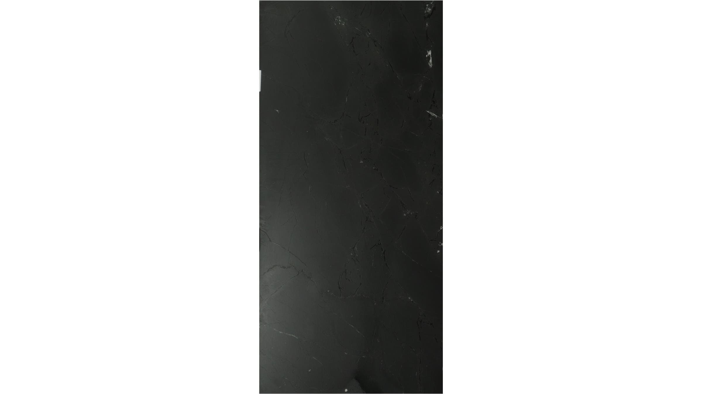 SARATOGA QUARTZITE — item #4201-1