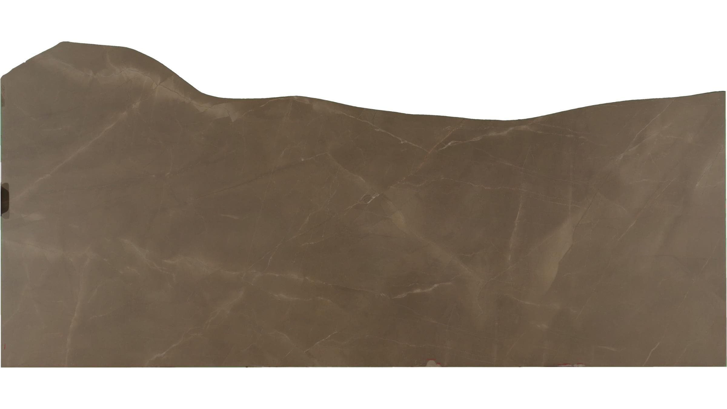 PULPIS SINTERED — item #6593