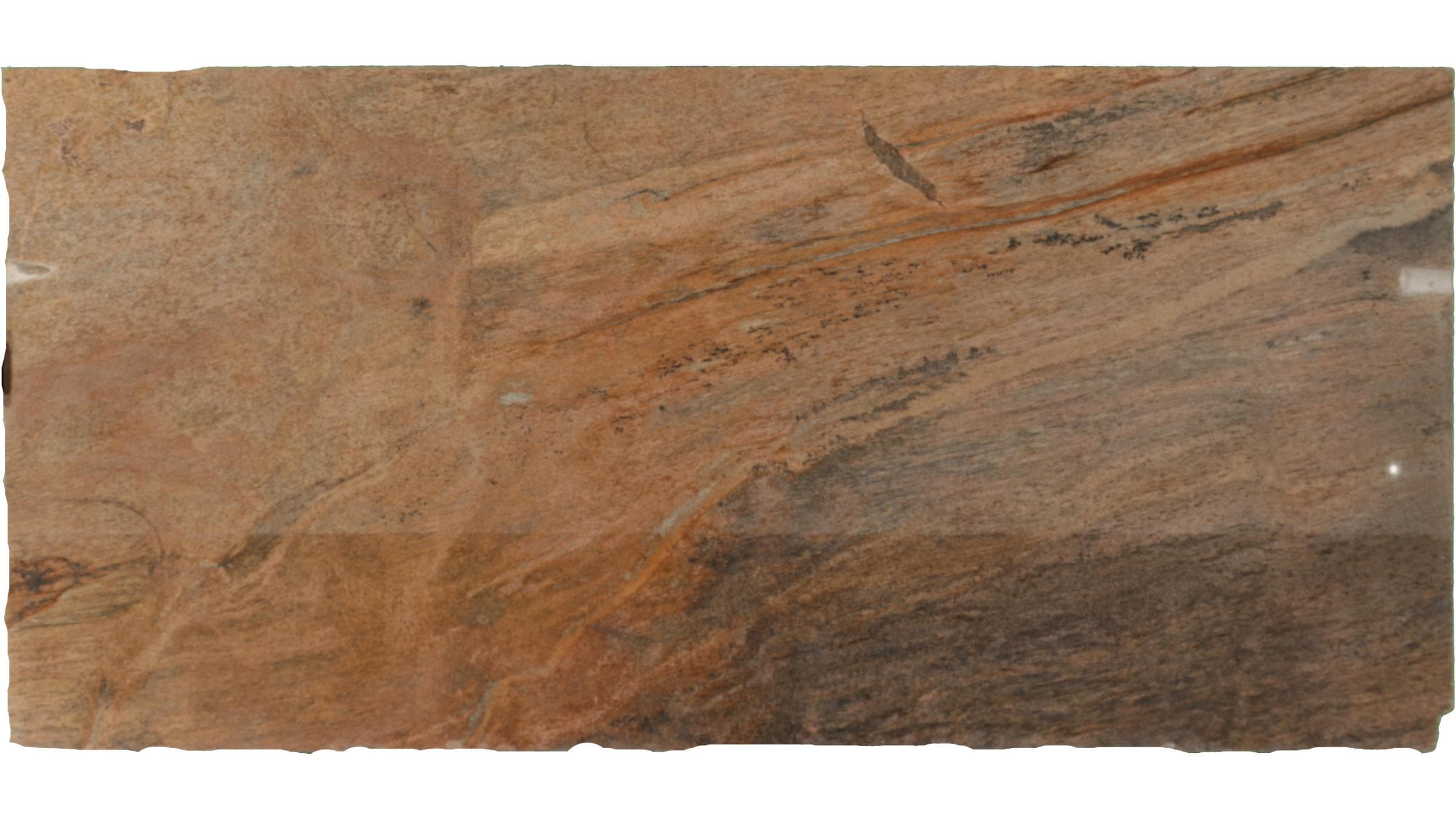 PETRAFIED WOOD GRANITE — item #165-1