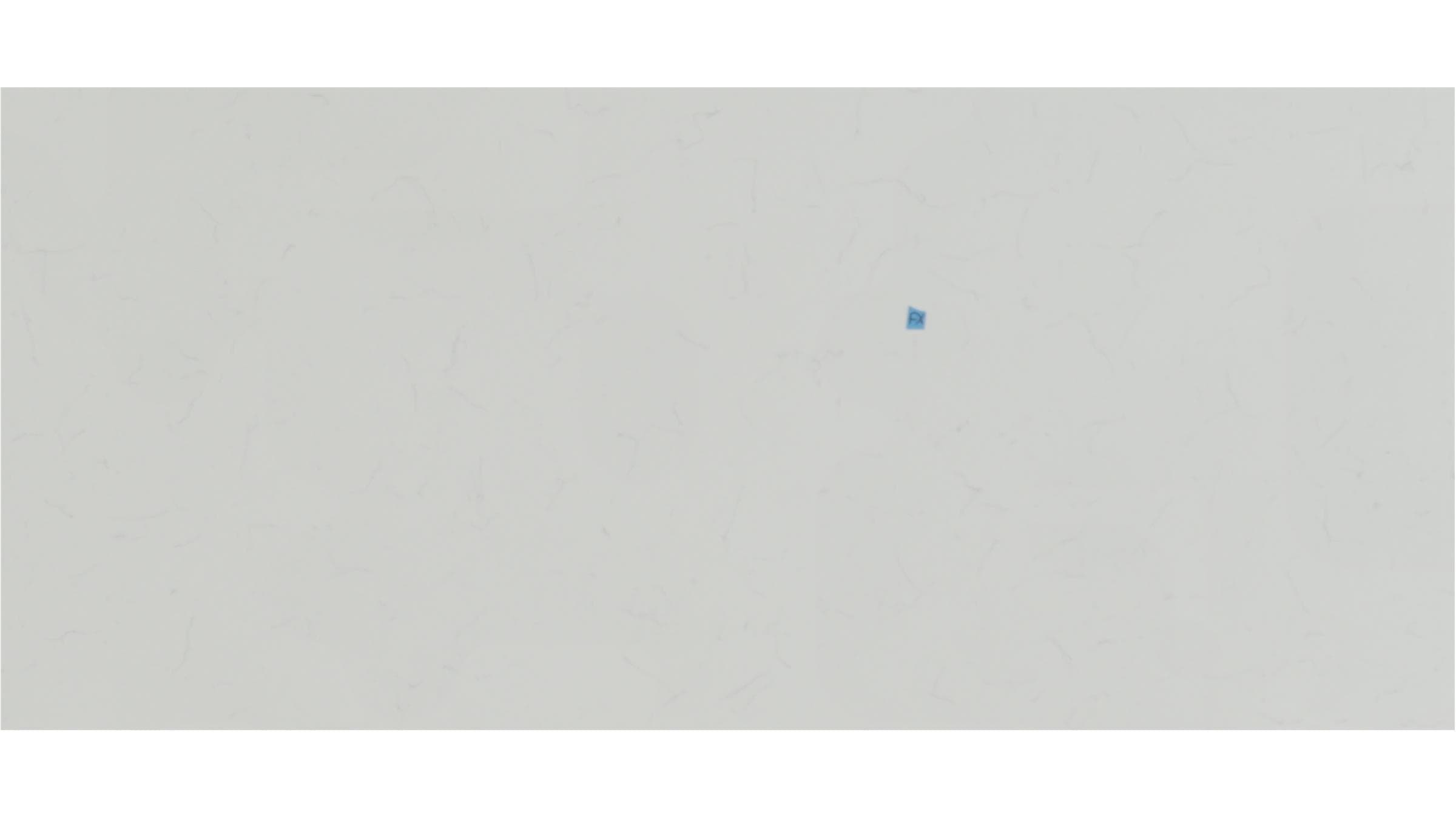 CARRARA ROYALE QUARTZ — item #8389-1