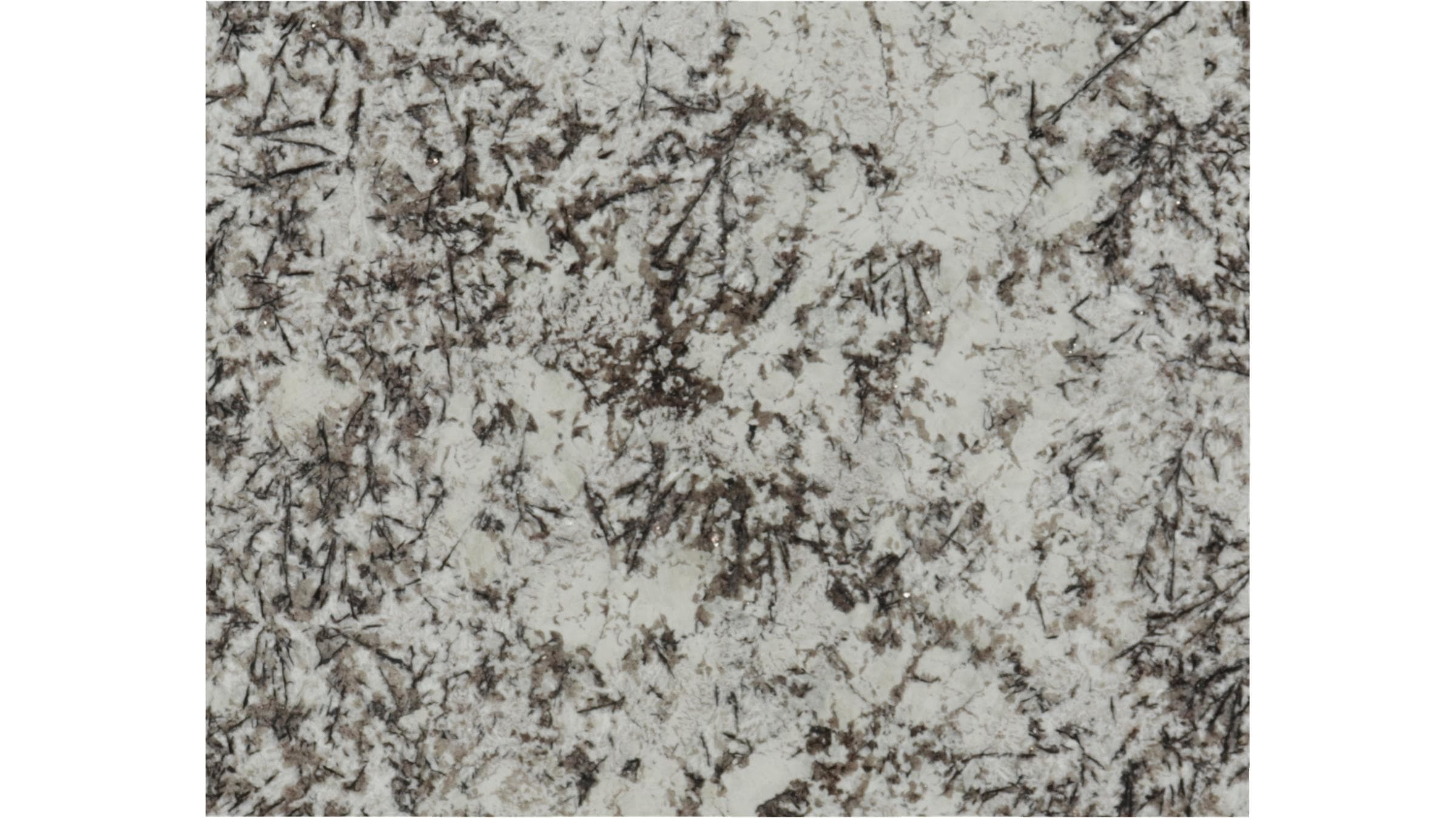 DELICATUS WHITE GRANITE — item #7121-1